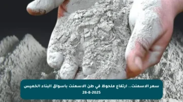 سعر الأسمنت.. ارتفاع ملحوظ في طن الأسمنت بأسواق البناء الخميس 28-8-2025